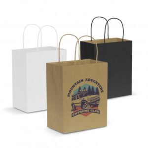 107586-0.jpg 107586 - Paper Carry Bag - Medium