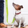 110798-13.jpg 110798 - Trek Dog Leash