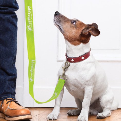 110798-13.jpg 110798 - Trek Dog Leash