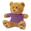 114175-10.jpg 114175 - Teddy Bear Plush Toy