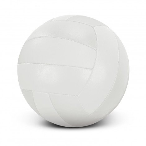 117256 - Volleyball Pro