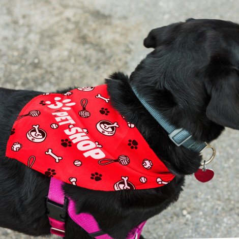 123660 - Pet Bandana - Large