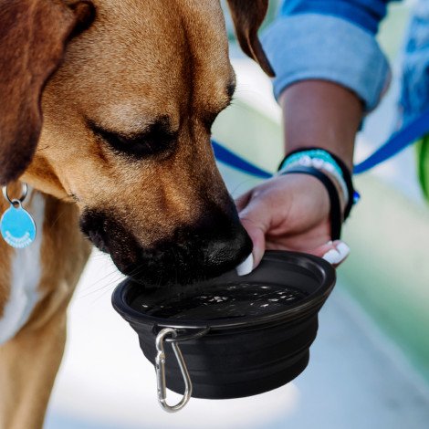 123710-7.jpg 123710 - Silicone Collapsible Pet Bowl