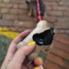 124815 - Pet Bag Dispenser  - Natural