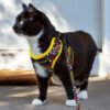 125071 - Amigo Pet Harness