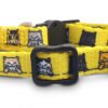125072 - Amigo Cat Collar