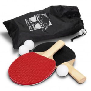 123075 - Portable Table Tennis Set