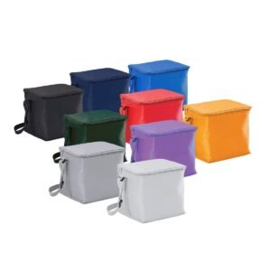 SMALL COOLER BAG