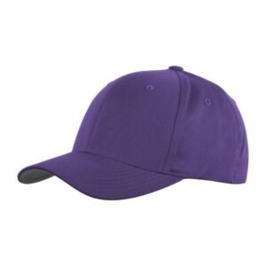 Flexfit - Purple
